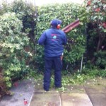 Hedge Cutting